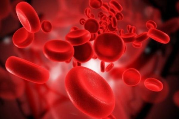 Rbc là gì - Đây là số lượng tế bào hồng cầu trong máu