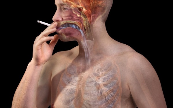 Người hút thuốc lá thường xuyên, liên tục có nguy cơ cao mắc bệnh đa hồng cầu