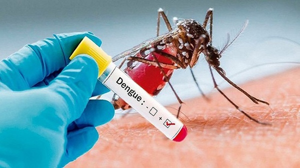 sốt xuất huyết là bệnh truyền nhiễm cấp tính khởi phát do siêu vi trùng Dengue