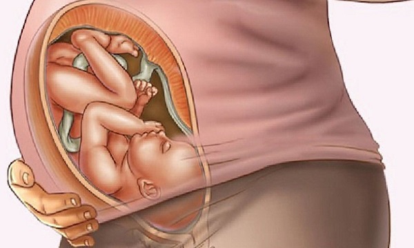 Đa số thai nhi sẽ  quay đầu vào tuần thai thứ 34 hoặc 35