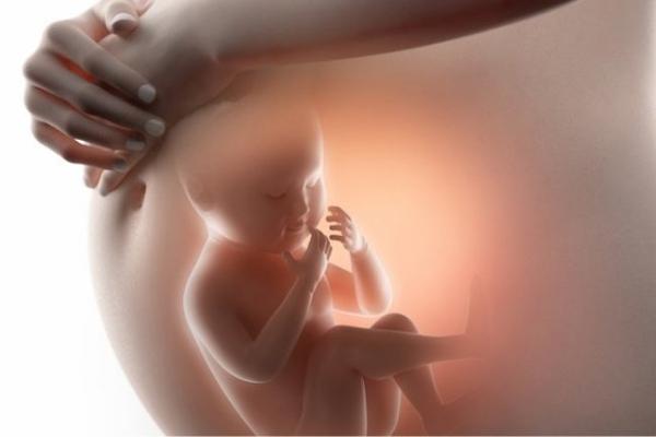 Những bất thường xuất hiện ngay từ trong bào thai gọi là dị tật bẩm sinh thai nhi