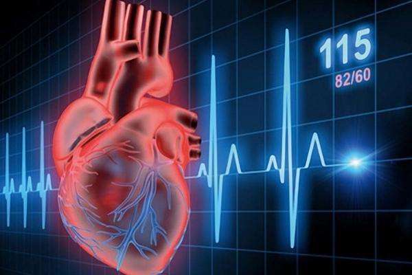 Theo dõi nhịp tim thông thường xuyên gom chống rời hiệu suất cao những yếu tố về tim mạch