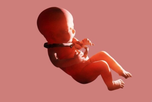 Dây rốn quấn cổ 1 vòng tuần 38 có ảnh hưởng tới thai nhi không?
