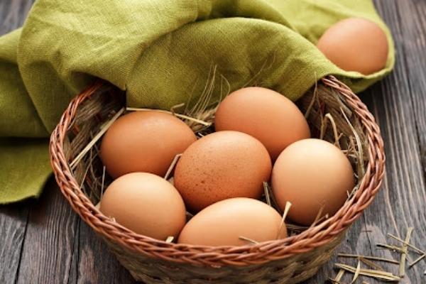 Người loãng xương nên ăn 1 quả trứng mỗi ngày