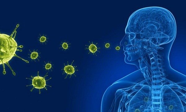 Virus hợp bào gây bệnh viêm phế quản lây lan từ người sang người thông qua con đường dịch tiết đường hô hấp