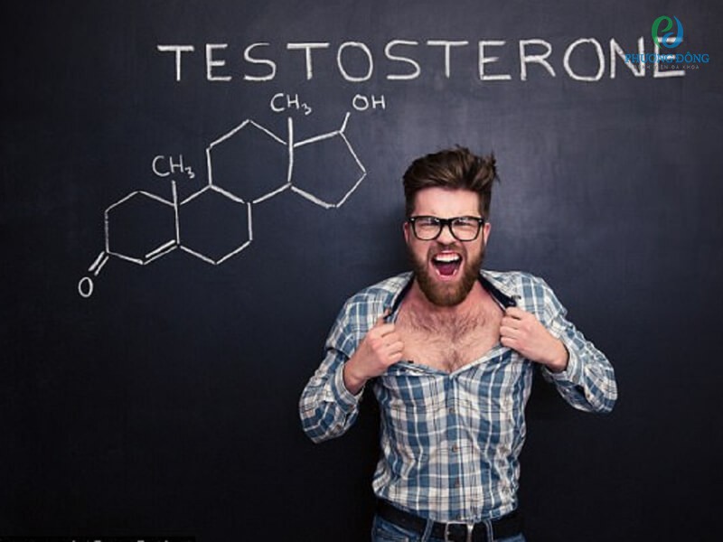 Testosterone ở phái mạnh được sinh ra đa phần bên trên tinh nghịch hoàn