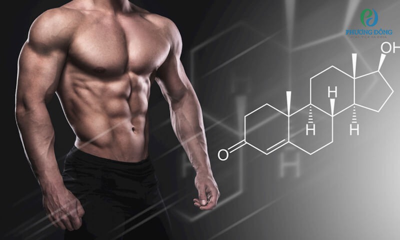 Tỷ lệ testosterone được sản sinh ở tinh hoàn và tuyến thượng thận của nam giới là bao nhiêu?
