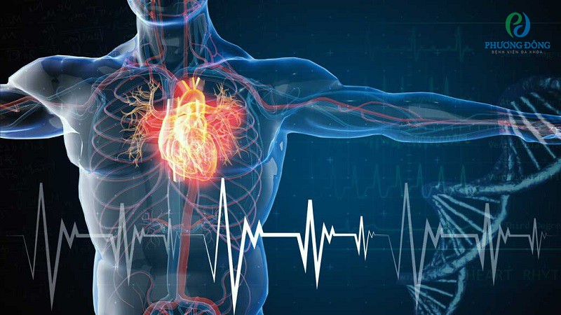 suy tim là 1 trong các biến chứng của bệnh hẹp van tim