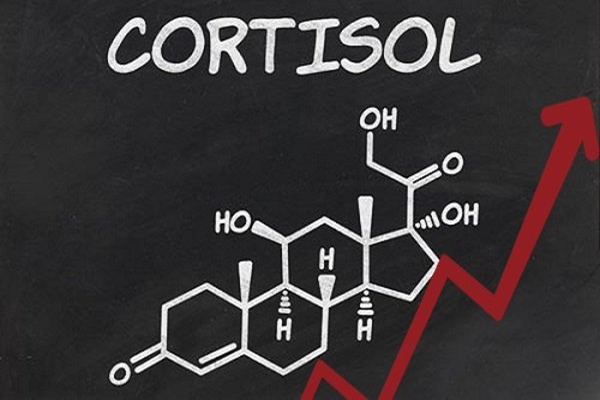 Hormone Cortisol tăng cao gây nên hội chứng Cushing