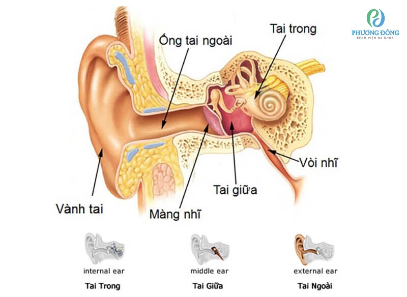 Viêm nhiễm tai trong là căn bệnh khá hiếm gặp hiện nay