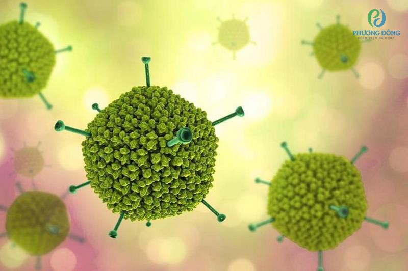 Adenovirus cũng là một trong những nguyên nhân hàng đầu gây nên bệnh