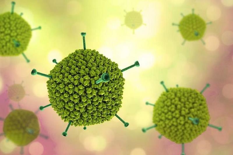 Adenovirus là nguyên nhân trực tiếp gây bệnh