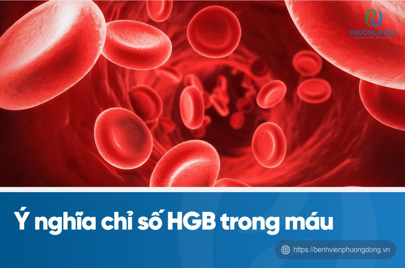 Chỉ số HgB biểu thị tình trạng thiếu máu của người được xét nghiệm
