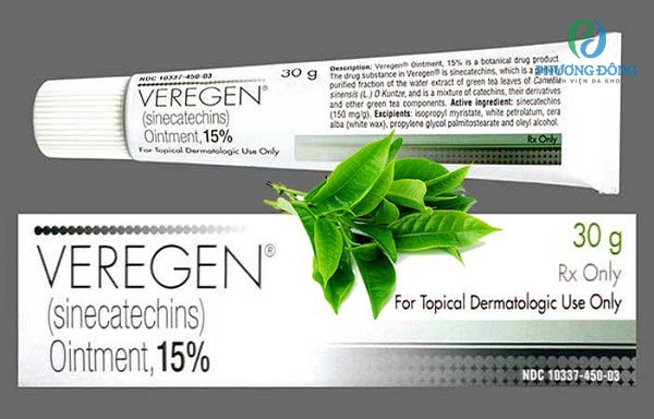 Thuốc Sinecatechin (Veregen) điều trị tại chỗ bệnh sùi mào gà