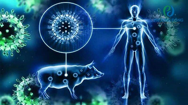 Chủng cúm A có thể lây truyền ở người và động vật