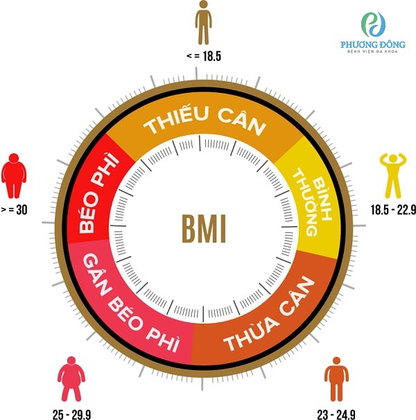 Biểu đồ BMI
