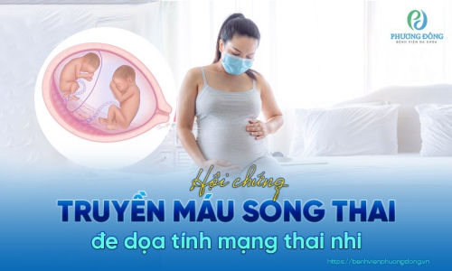 Hội chứng truyền máu song thai là gì? Mách mẹ cách phòng ngừa hiệu quả