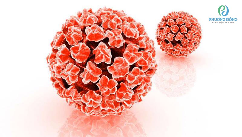 Xét nghiệm dương tính nghĩa là bệnh nhân đã bị nhiễm virus HPV
