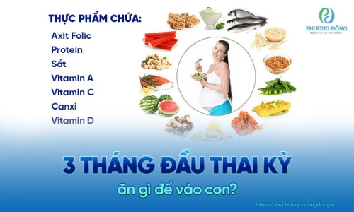 3 tháng đầu thai kỳ ăn gì để vào con? Chế độ dinh dưỡng cho cả mẹ và con