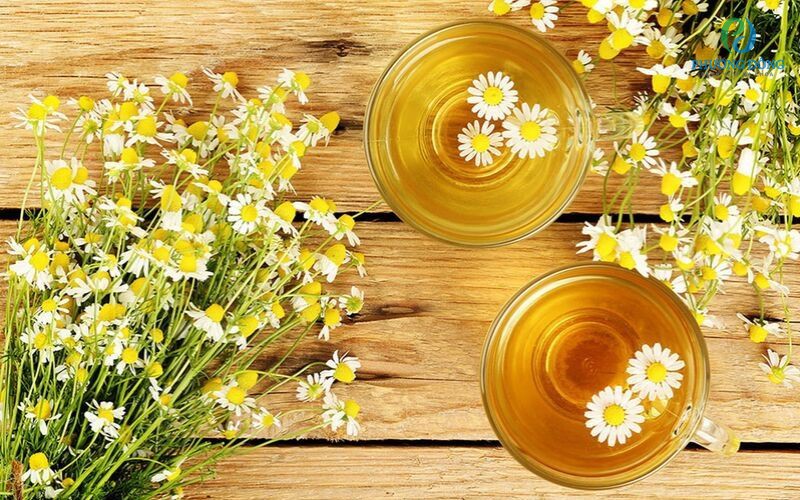 Trà hoa cúc mật ong giúp giảm sưng, giảm viêm 