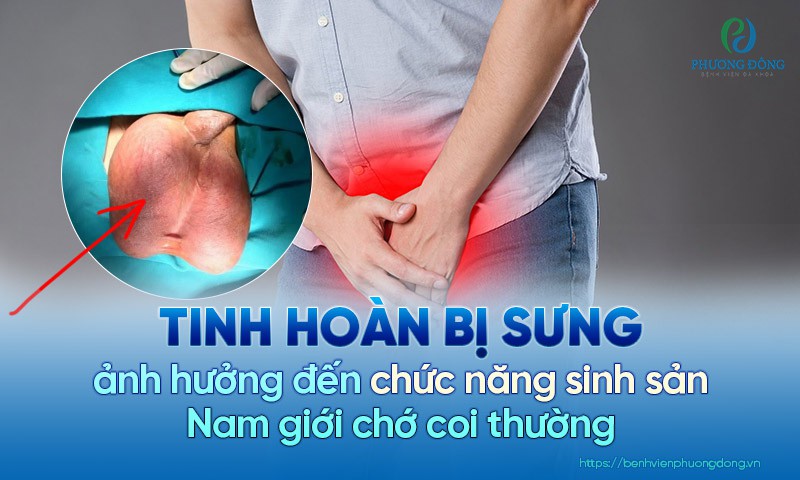 Câu Hỏi Thường Gặp