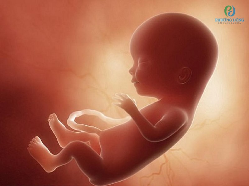 Triple test là xét nghiệm sàng lọc dị tật bẩm sinh ở thai nhi mẹ nên thực hiện với nhiều ưu điểm