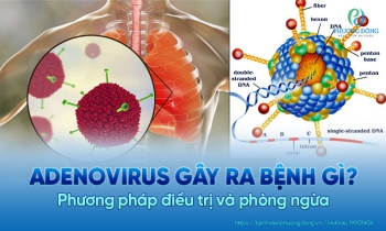 Adenovirus: Khả năng gây bệnh, cách điều trị và phòng ngừa hiệu quả