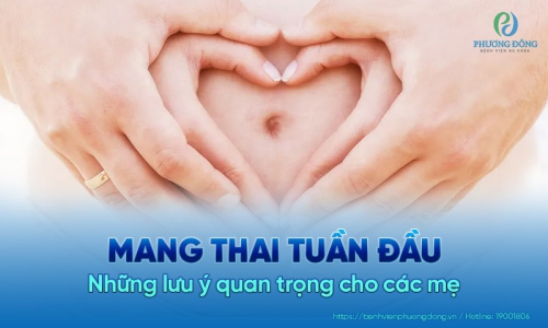 Mang thai tuần đầu và những lưu ý quan trọng cho các mẹ