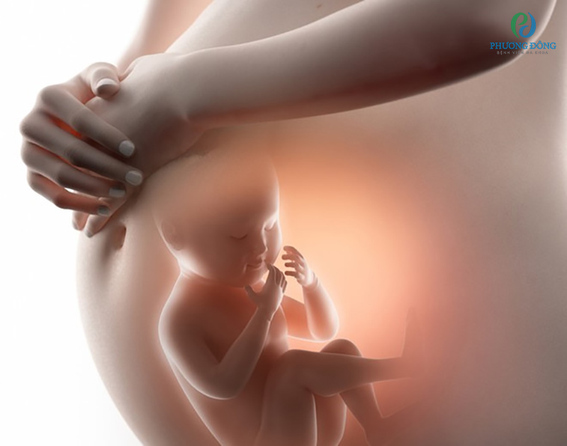 thai nhi cải cách và phát triển vào bên trong túi ối