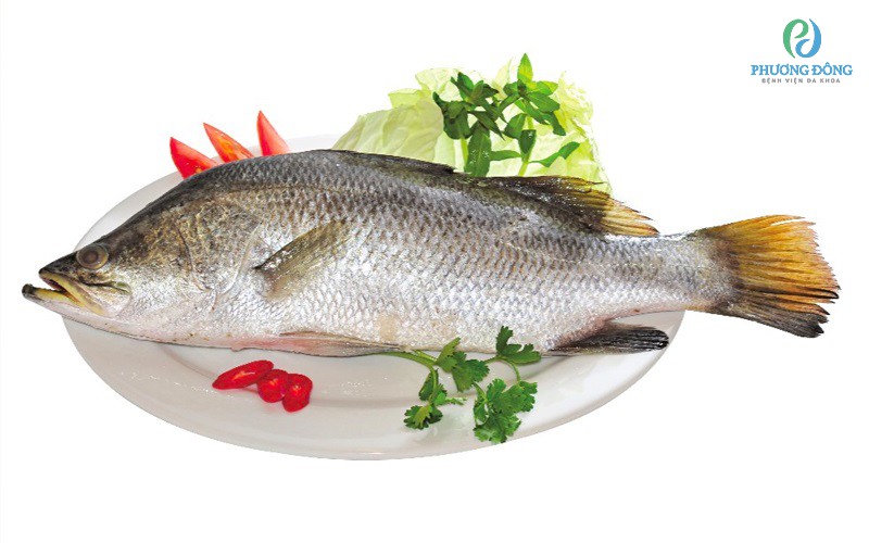 Cá chẽm giàu chất béo omega-3 và có hàm lượng photpho thấp hơn các hải sản khác