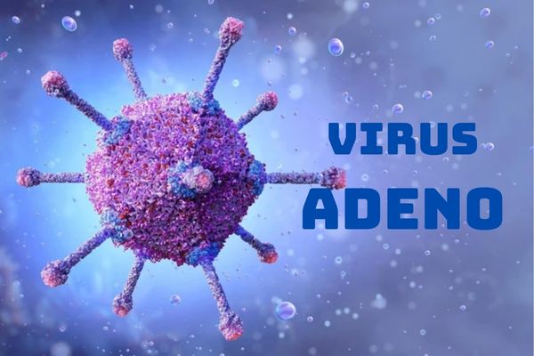 Bệnh do virus Adeno đang gia tăng tại Việt Nam
