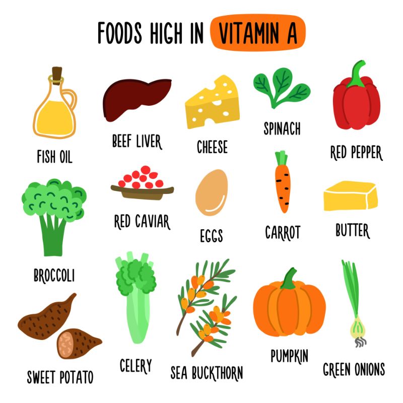 Vitamin A quan trọng với cơ thể và rất thường gặp trong các thực phẩm thông thường