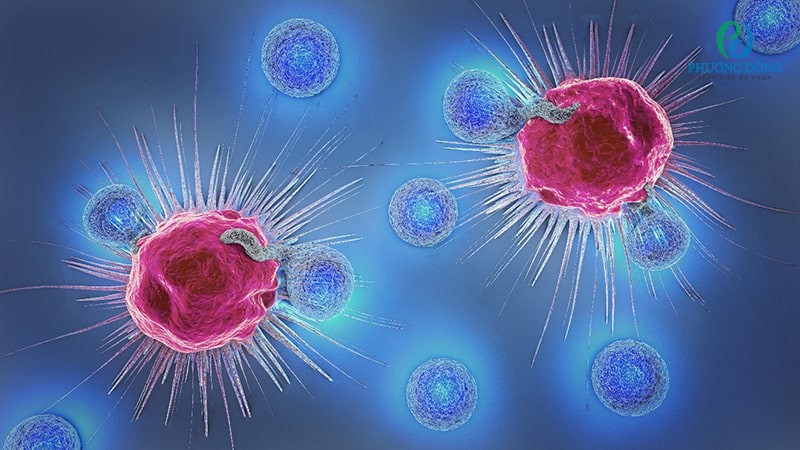 Tác dụng của tế bào NK đối với cơ thể con người là gì? 