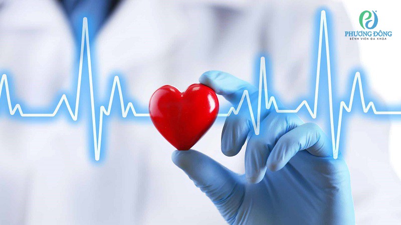 Bảo vệ cơ thể trước nguy cơ các bệnh về tim mạch