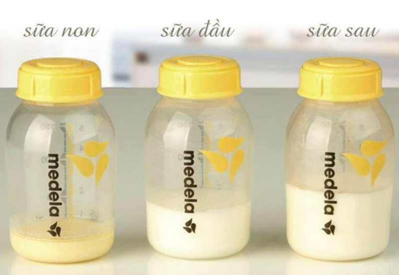 Hình ảnh phân biệt sữa mẹ theo các giai đoạn tiết sữa.