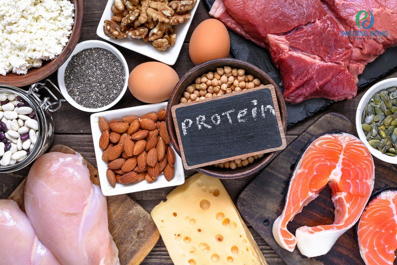 Trong quá trình chuyển phôi cần cung cấp đủ lượng protein cho cơ thể
