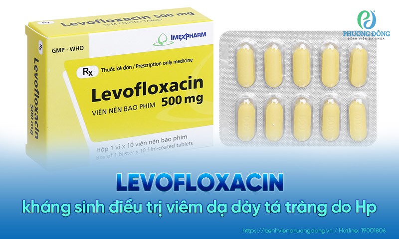 Levofloxacin- kháng sinh điều trị viêm dạ dày tá tràng do Hp