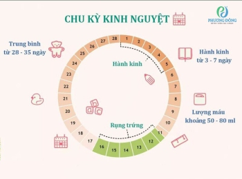 Hết kinh bao nhiêu ngày thì rụng trứng