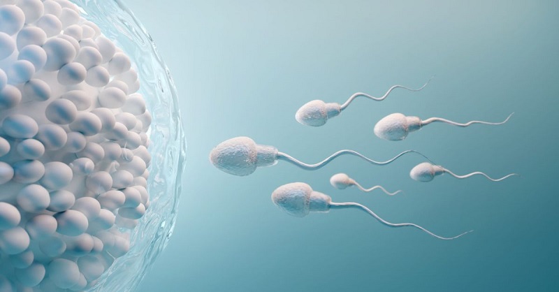 Xuất tinh sớm vẫn có thể thụ thai nếu tinh trùng khỏe mạnh.