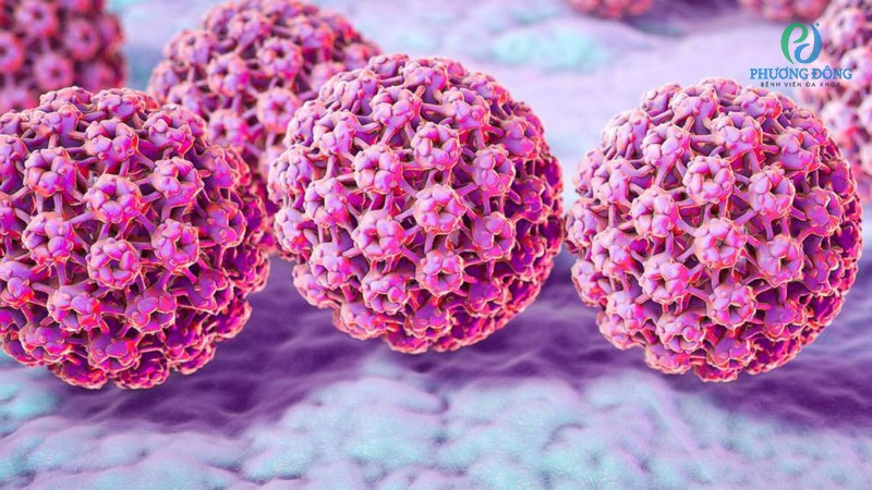 HPV nguyên nhân gây ung thư ở cơ quan sinh dục nam