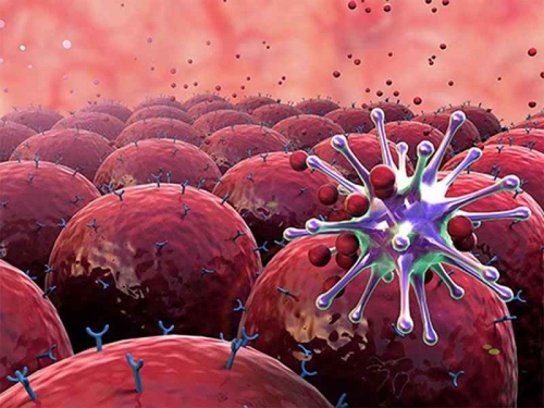 Tế bào ung thư là gì, hình thành như thế nào và các tính chất của nó