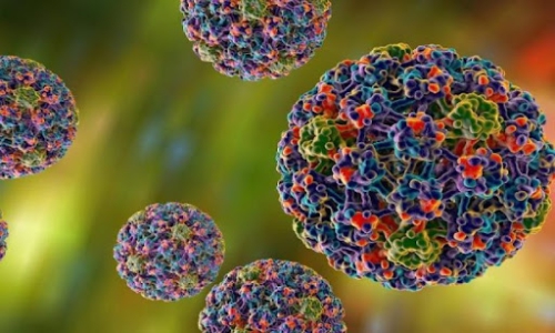 Virus HPV lây qua đường nào?