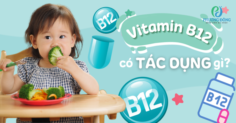 tác dụng của vitamin B12 với trẻ em