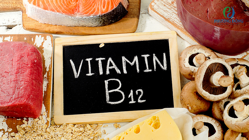 nguồn thực phẩm bổ sung vitamin B12