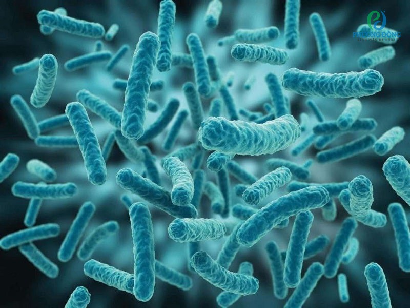 Vi khuẩn kí sinh là một trong những nguyên nhân gây hôi miệng 