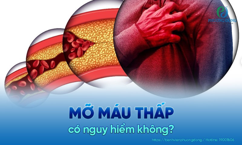 Triệu Chứng Của Mỡ Máu Thấp