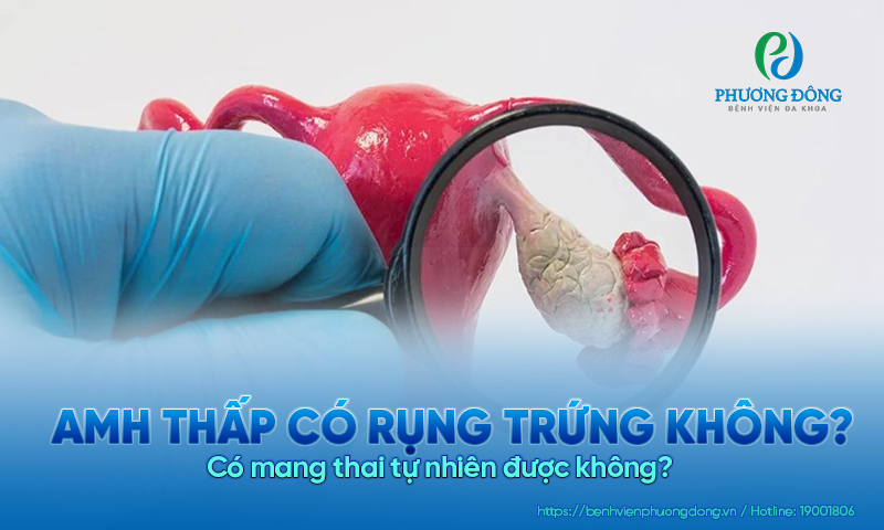 AMH thấp có rụng trứng không? Có mang thai tự nhiên được không?