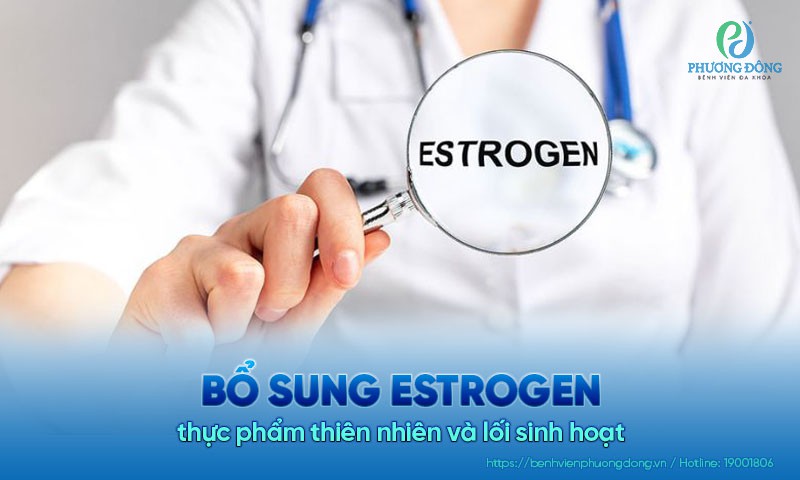 Bổ sung estrogen từ thực phẩm thiên nhiên và lối sinh hoạt