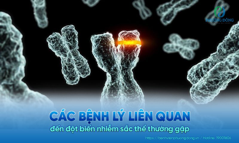 Các bệnh lý liên quan đến đột biến nhiễm sắc thể thường gặp