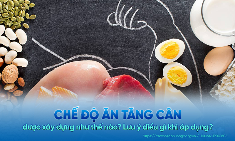 Chế độ ăn tăng cân được xây dựng như thế nào? Lưu ý điều gì khi áp dụng?